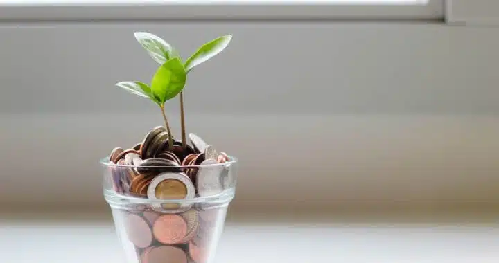 wedding budget